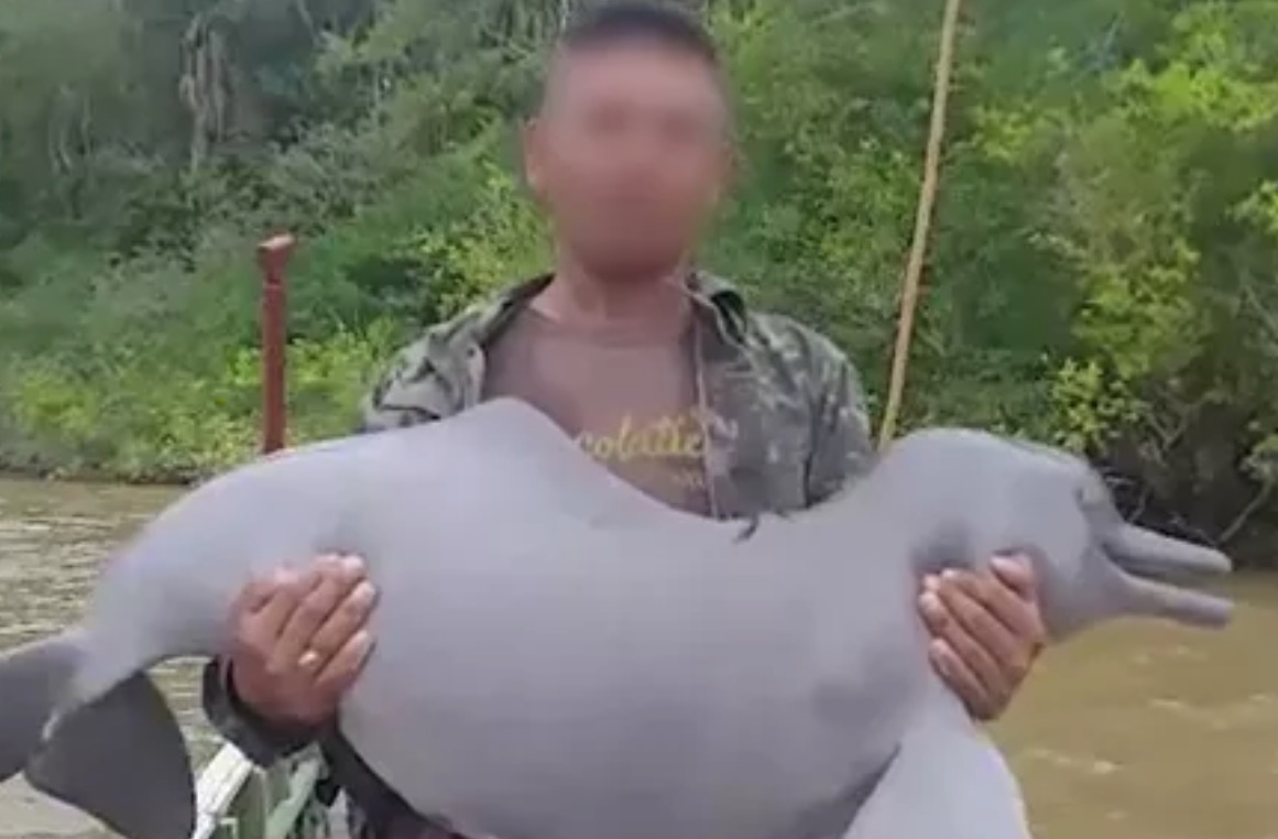 Homem vai parar na delegacia após se exibir com boto morto no Rio Amazonas