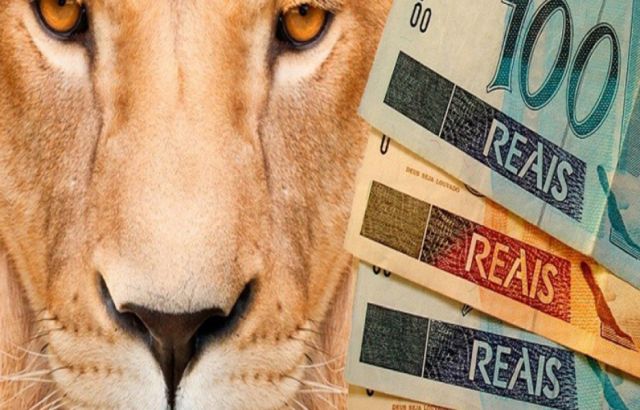 Receita Federal já recebeu mais de 535 mil declarações na 2ª região fiscal