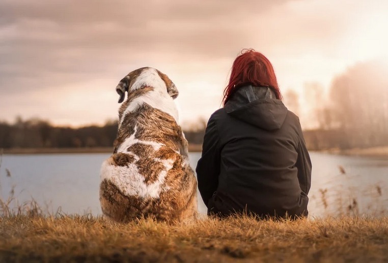 Entenda a diferença entre o coronavírus humano e os coronavírus em animais