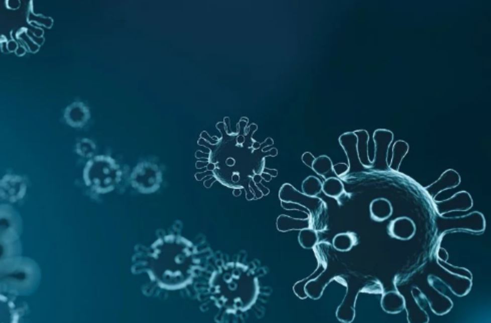 Adolescente de 15 anos é o mais jovem a morrer por coronavírus no Brasil