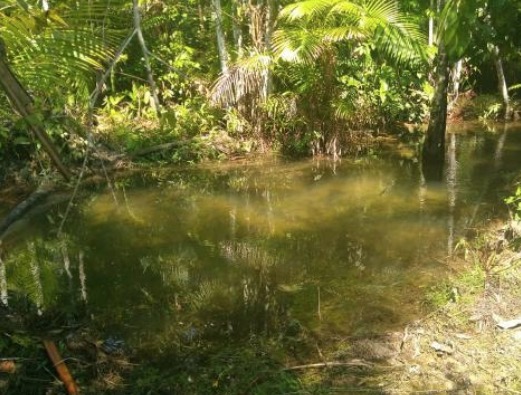 Após bebedeira, homem é encontrado morto em igarapé no Amazonas