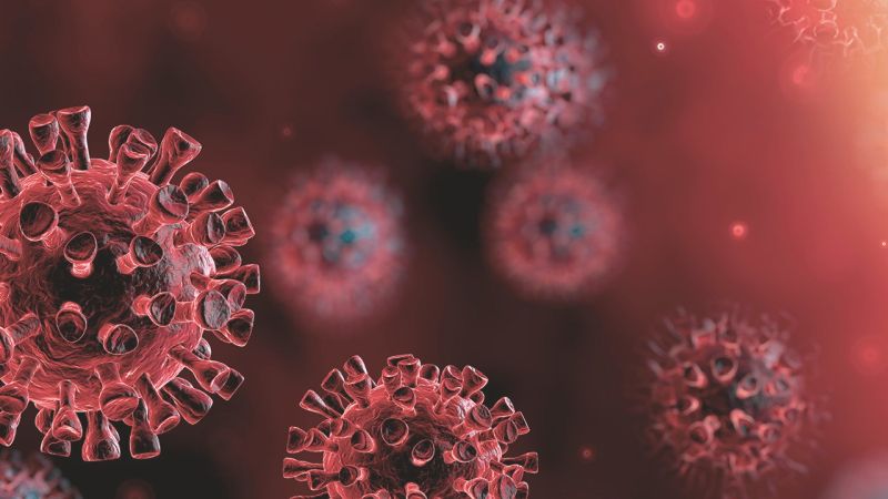 Subnotificações de coronavírus no Amazonas podem chegar a 22 mil, diz estudo