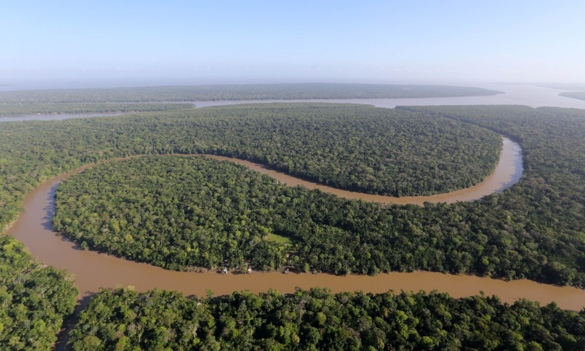 Justiça Federal revoga decreto de Bolsonaro sobre cultivo da cana-de-açúcar na Amazônia 