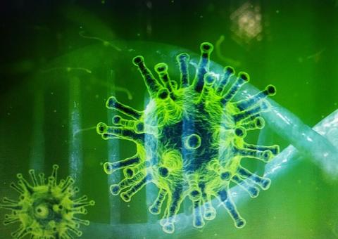 Casarão de Ideias e Espaço Me Viro realizam doação de EPIs para entidades sociais de Manaus