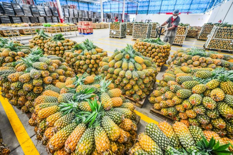 Amazonas: Mais de 76 toneladas da produção familiar são compradas pela ADS