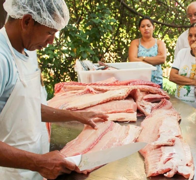 Pirarucu de Mamirauá vai ser comercializado na Feira da FAS Virtual, em Manaus