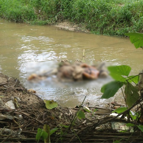 Com saco na cabeça, corpo de mulher é encontrado boiando em igarapé de Manaus