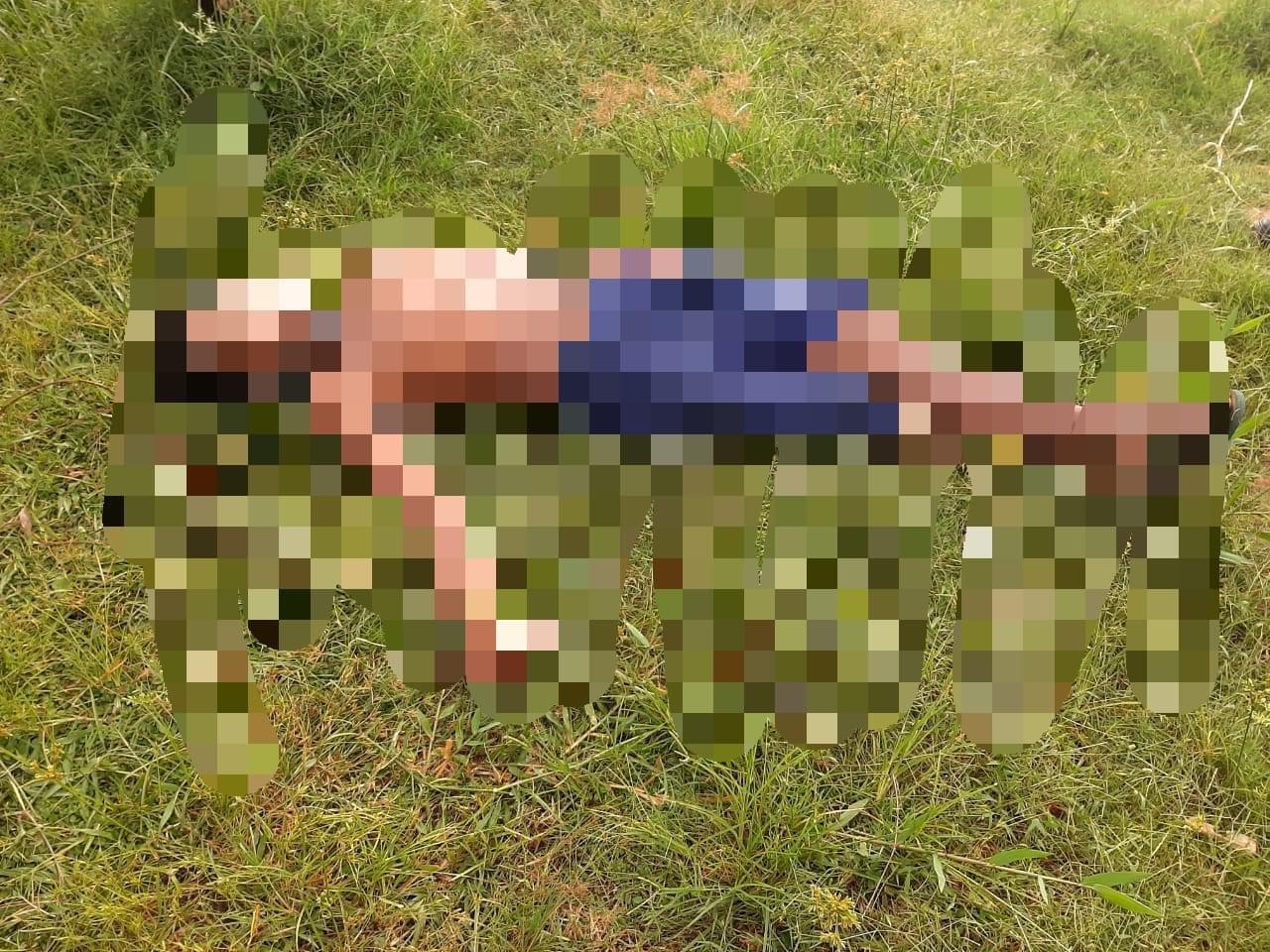 No Amazonas, homem é encontrado morto em área de mata