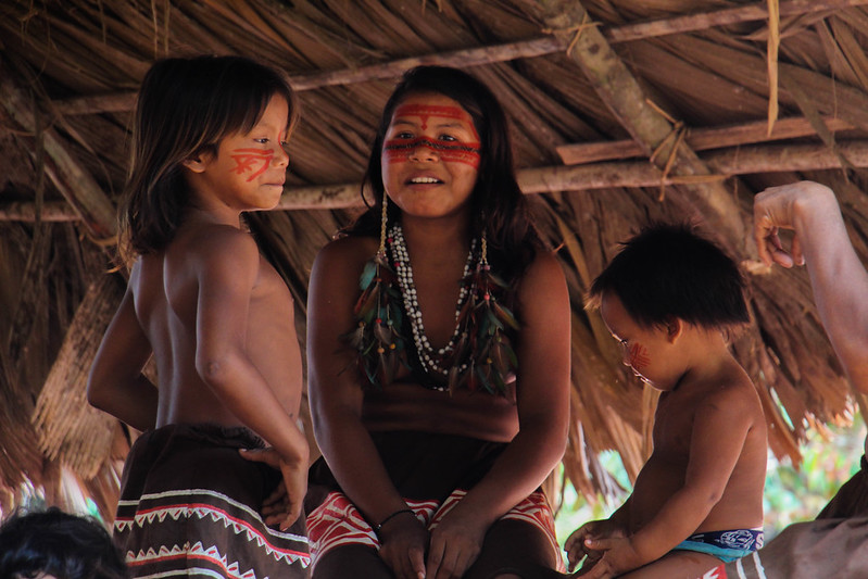 No Amazonas, Justiça determina medidas para preservar povos indígenas da covid-19