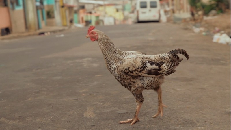 Gravado na Compensa, O Tempo Passa será exibido na TV neste domingo