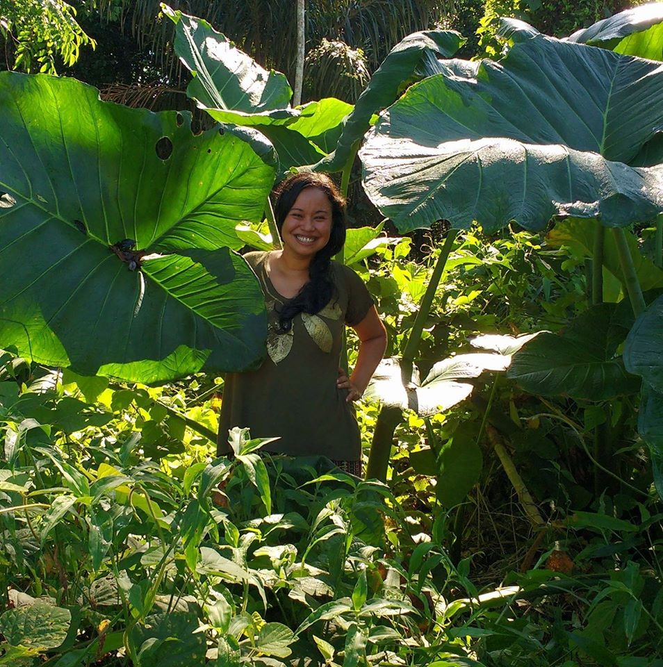 Live  'Agroecologia e Consumo Consciente' acontece nesta segunda 