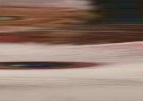 Briga de gatos ‘rouba a cena’ durante transmissão ao vivo; Assista  