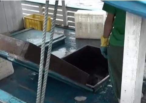 Polícia encontra carne de caça e pescado ilegal escondidos em embarcação no porto de Manaus