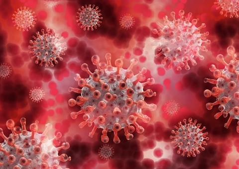 Brasil registra 807 novas mortes por coronavírus; total de óbitos passa de 23 mil