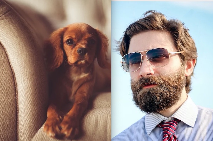 Sua barba é mais suja que os pelos de um cachorro, aponta estudo