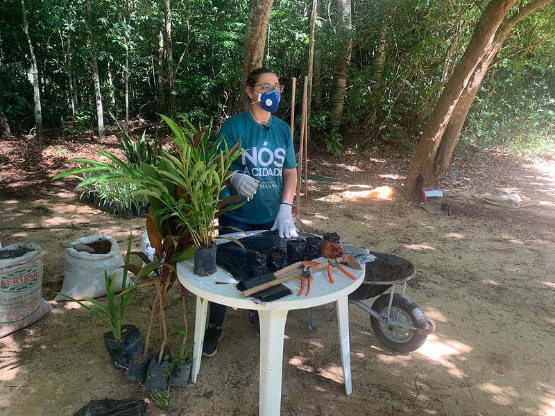 Minicursos e oficinas de arborização serão oferecidos on-line em Manaus  