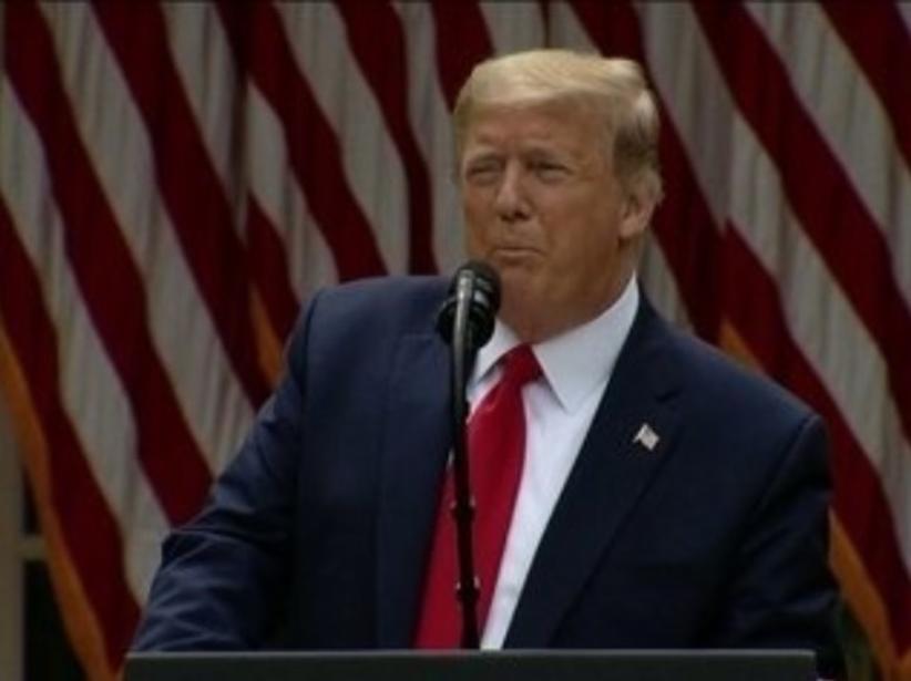 Vaza suposto nude de Donald Trump 