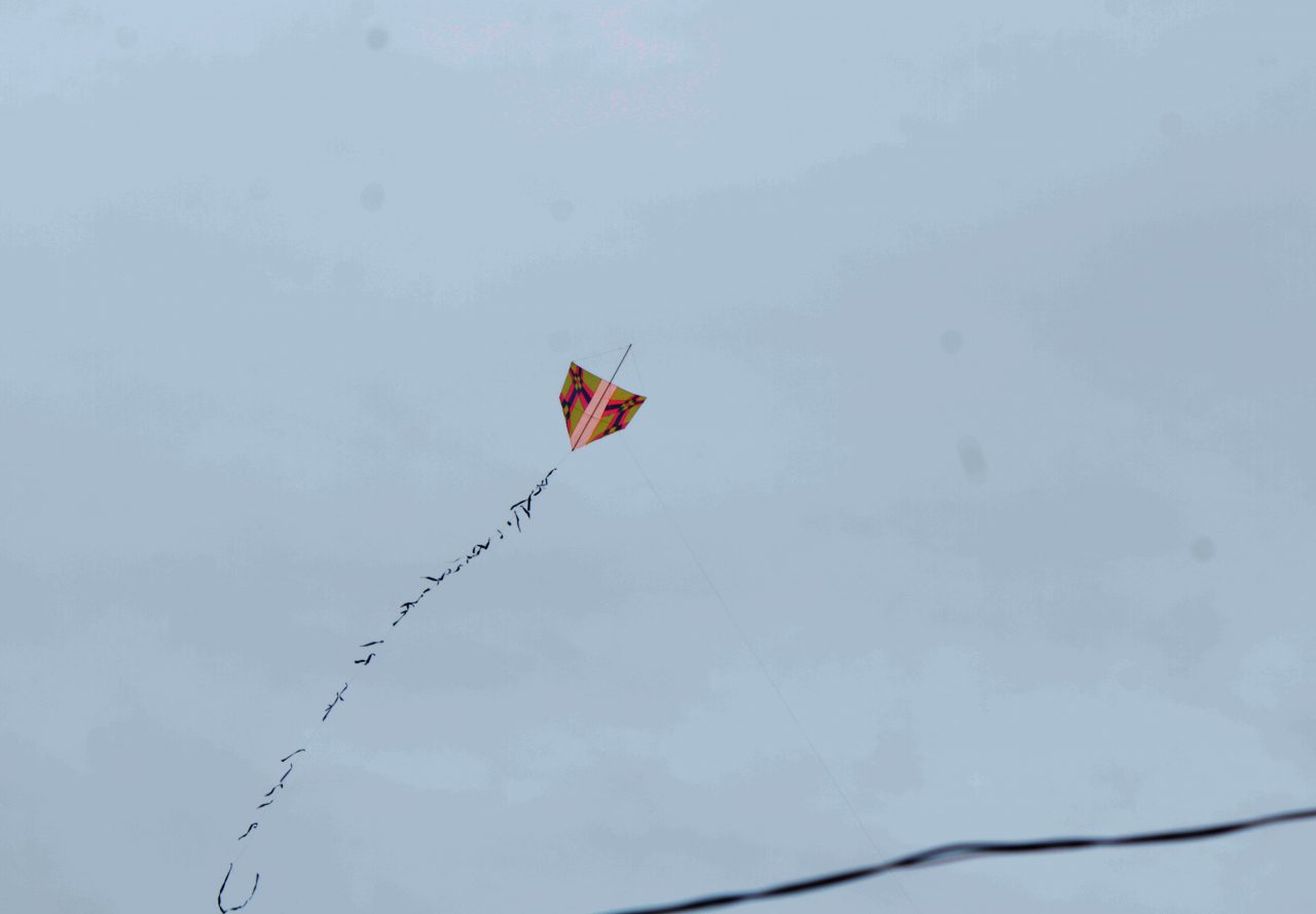  Menina de 8 anos é torturada até a morte por soltar papagaios no Paquistão 