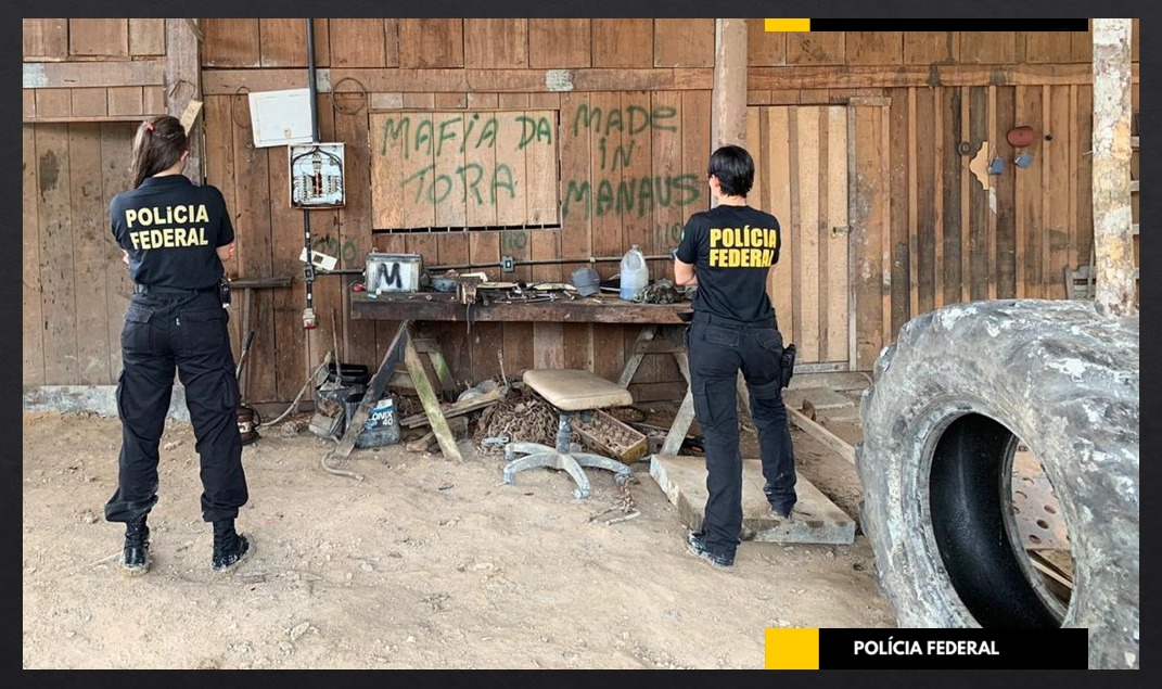 Homem é preso por exploração ilegal de madeira durante operação da PF no Amazonas 