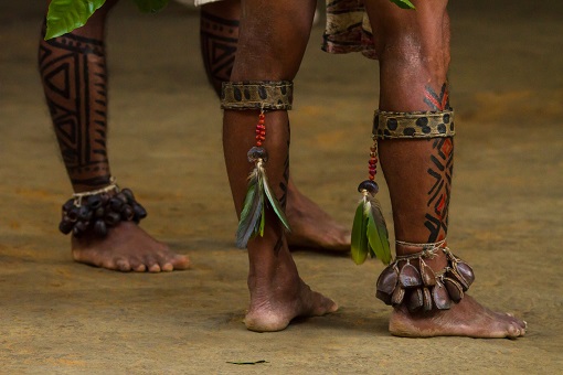 Cacique, líder da etnia Arara, morre aos 41 anos com coronavírus
