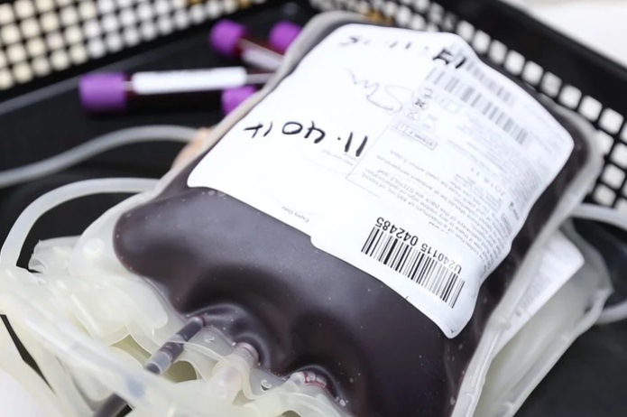 Associação quer que Anvisa permita imediatamente doação de sangue por homossexuais