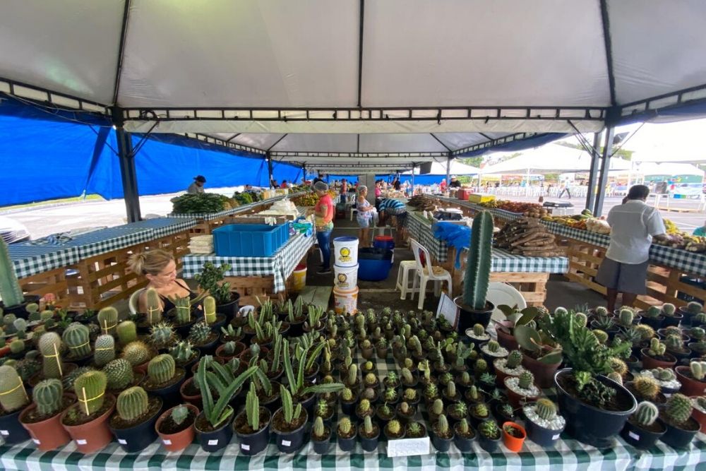 Feira de Produtos Regionais na Nilton Lins retorna atividades; Saiba mais 
