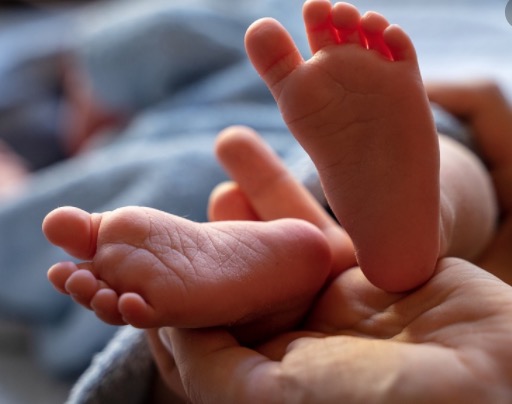 Bebê encontrada na AM 070 tem 8h de nascida, confira estado de saúde dela