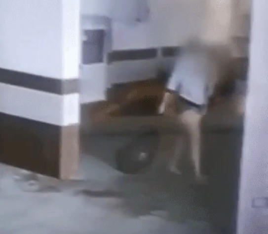 Mãe que jogou bebê pela janela deixa hospital e está em liberdade  