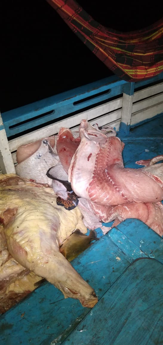 Polícia apreende arma e pescado ilegal em embarcação no Amazonas 