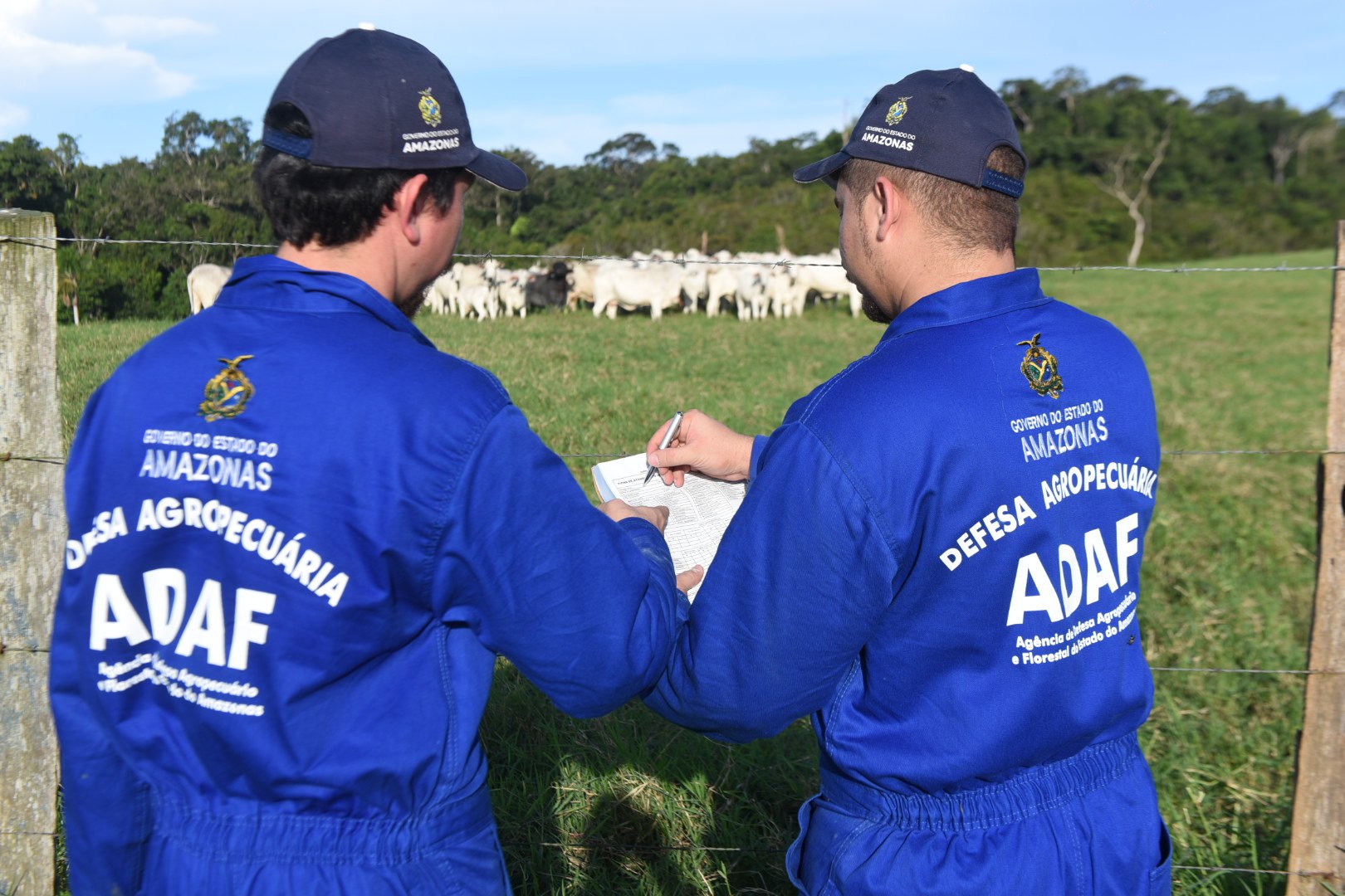 Adaf encerra na próxima semana atualização cadastral de animais no Amazonas