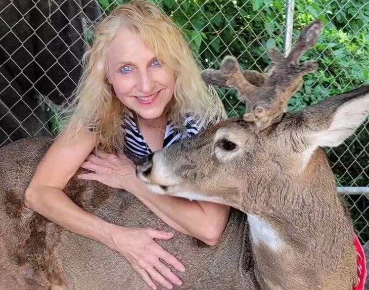 Mulher é dilacerada pelo próprio animal de estimação após ficar presa