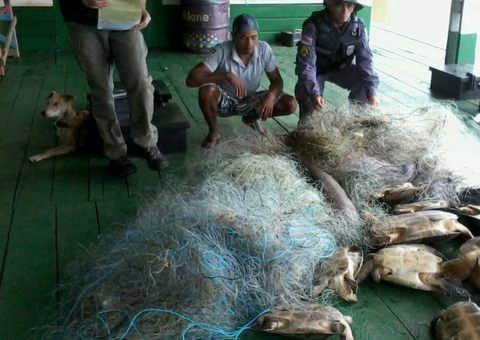 Traficantes de quelônios são presos na reserva do Abufari