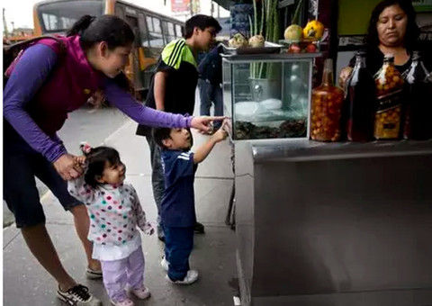 Suco de rã vem ganhando espaço na Bolívia e no Peru