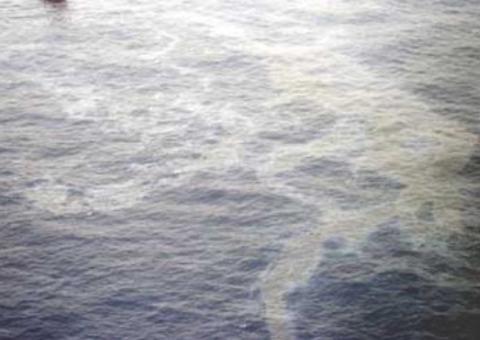 Empresa é multada em R$300 mil por poluir Rio Negro