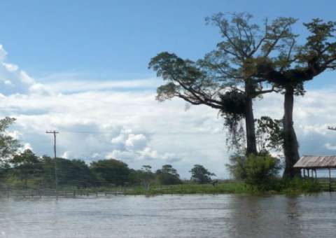 Concurso premia melhores ideias sustentáveis