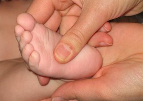 Prefeitura capacita profissionais para ampliar oferta do Teste do Pezinho