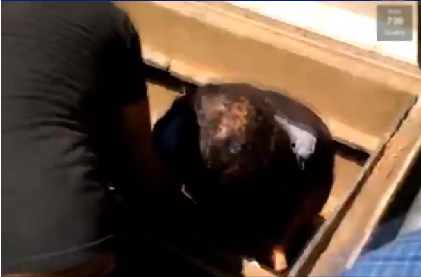 Fãs caem dentro de túmulos durante enterro de José Rico