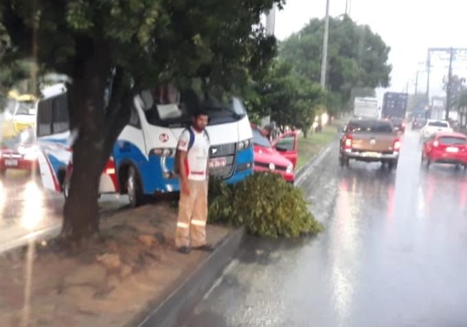 Foto: Divulgação/IMMU