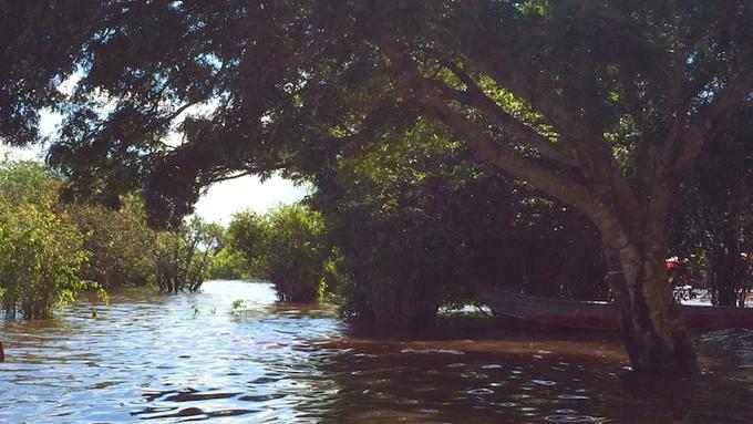 Pesquisas apontam as florestas como grandes influenciadoras na disponibilidade de água - Foto: Eustáquio Liborio/PH