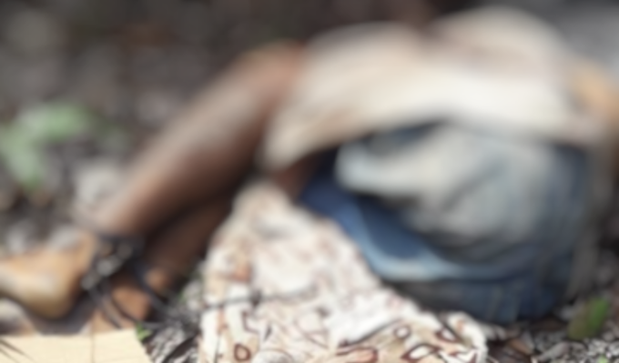 Foto: Pedro Braga Jr. / Portal do Holanda