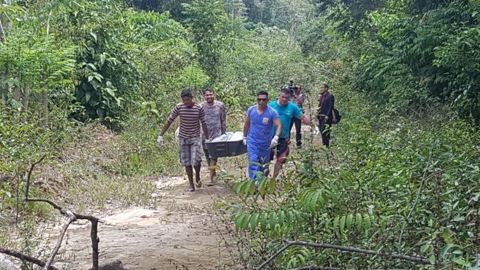 Foto: Pedro Braga Jr. / Portal do Holanda