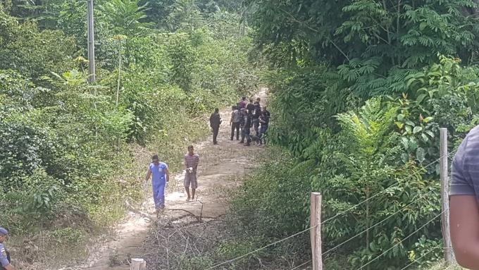 Foto: Pedro Braga Jr. / Portal do Holanda