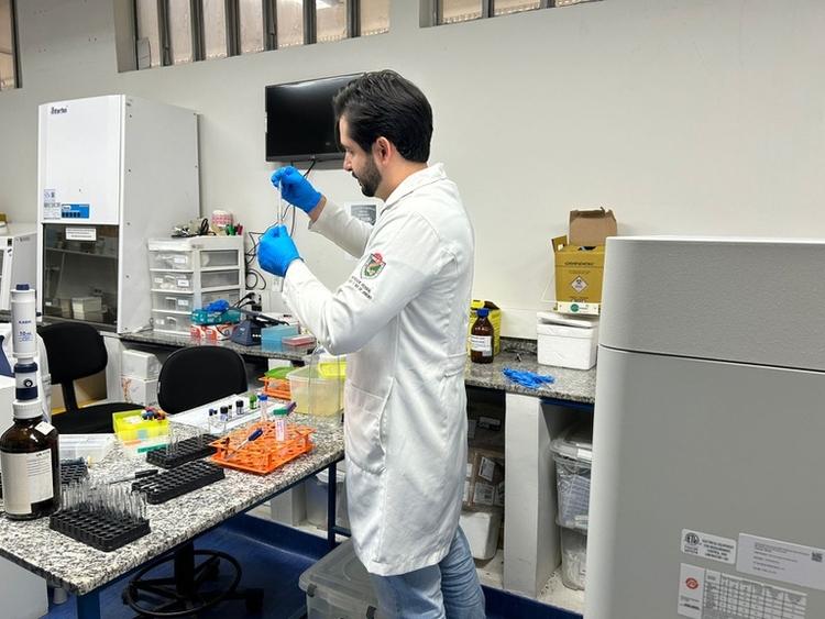 Foto: Reprodução/Governo Federal