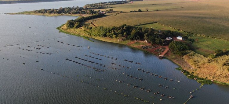 Foto: Divulgação/MPA