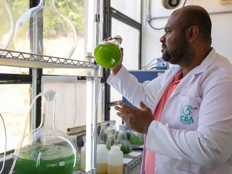 Foto: Fabio Rodrigues Pozzebom/Agência Brasil