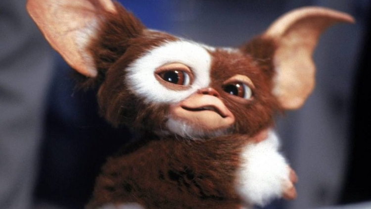 Gremlins ganha spin-off sobre Gizmo. Foto: Reprodução