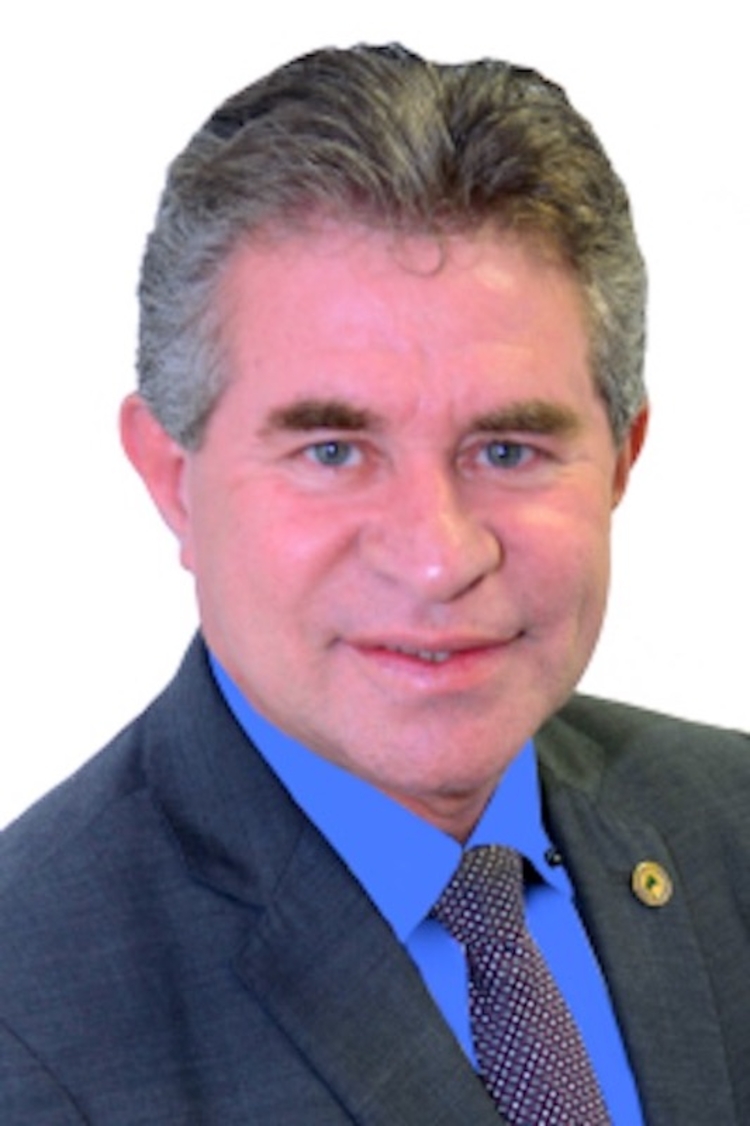 Deputado Gomes teve requerimento negado pela CPI da Saúde - Foto: Reprodução