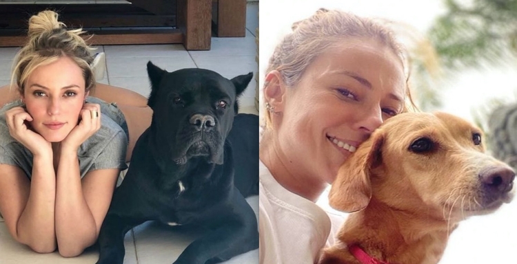 Paolla e seus cachorros. Atriz foi ferida ao socorrer pet de briga com cachorro estranho que invadiu o sítio. Foto: Reprodução/Instagram