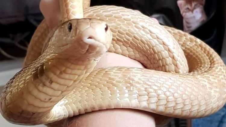 Foto: Arquivo Pessoal/ Facebook 