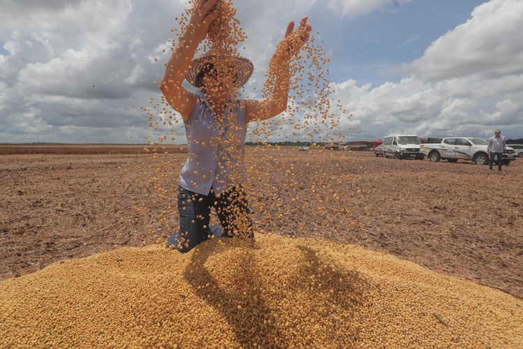 Cooperativas de crédito devem assistir produtor rural - Foto: Divulgação/Sepror